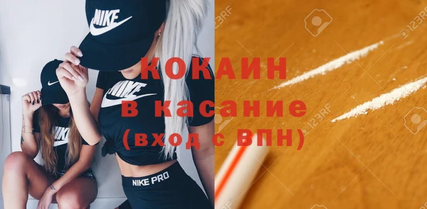 стаф Бородино