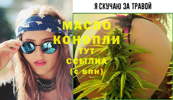 стаф Бородино