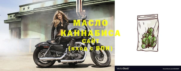 стаф Бородино