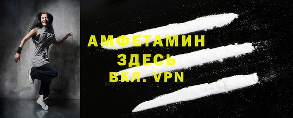 стаф Бородино