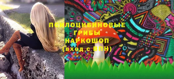 прущий лед Богданович