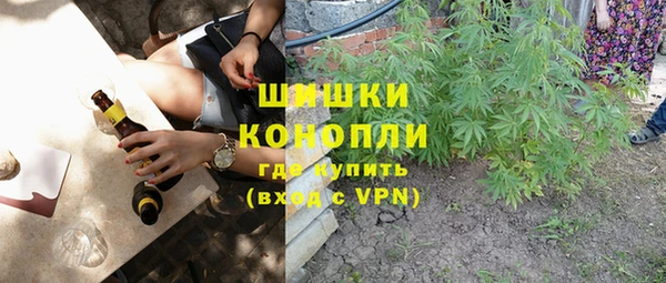 стаф Бородино