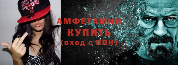 стаф Бородино