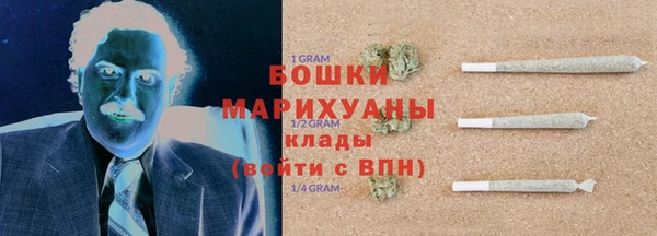 стаф Бородино