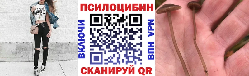 Галлюциногенные грибы MAGIC MUSHROOMS  Городец 